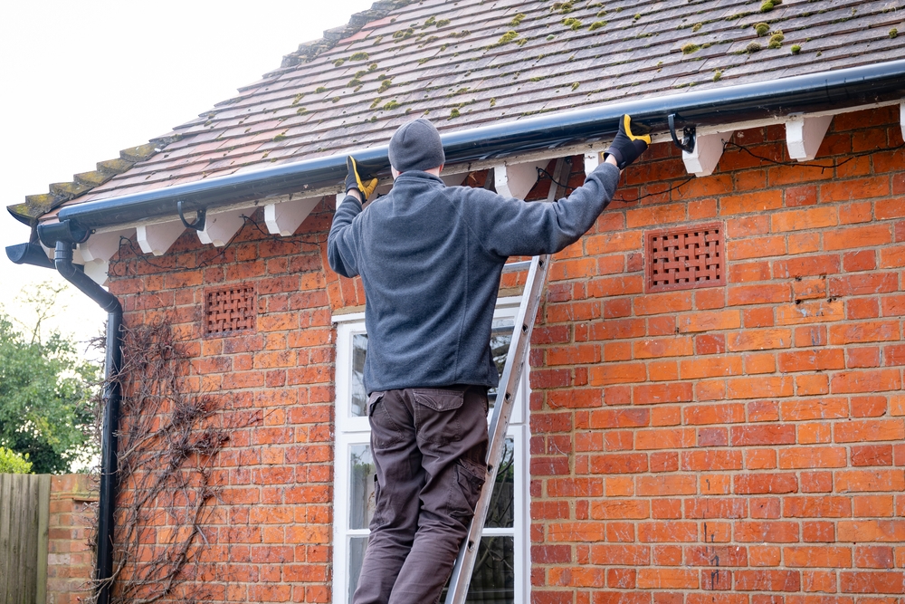 WL Maintenance - Exterior Property Maintenance in Irvine