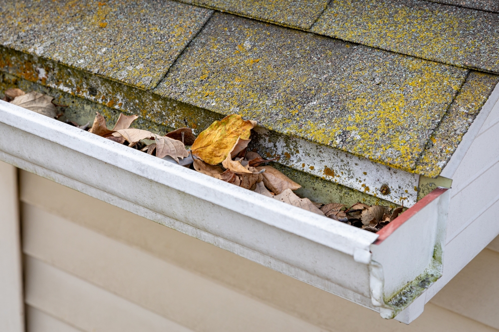 Get a quote from WL Maintenance