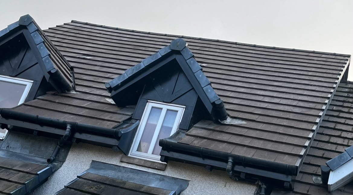 WL Maintenance project 1