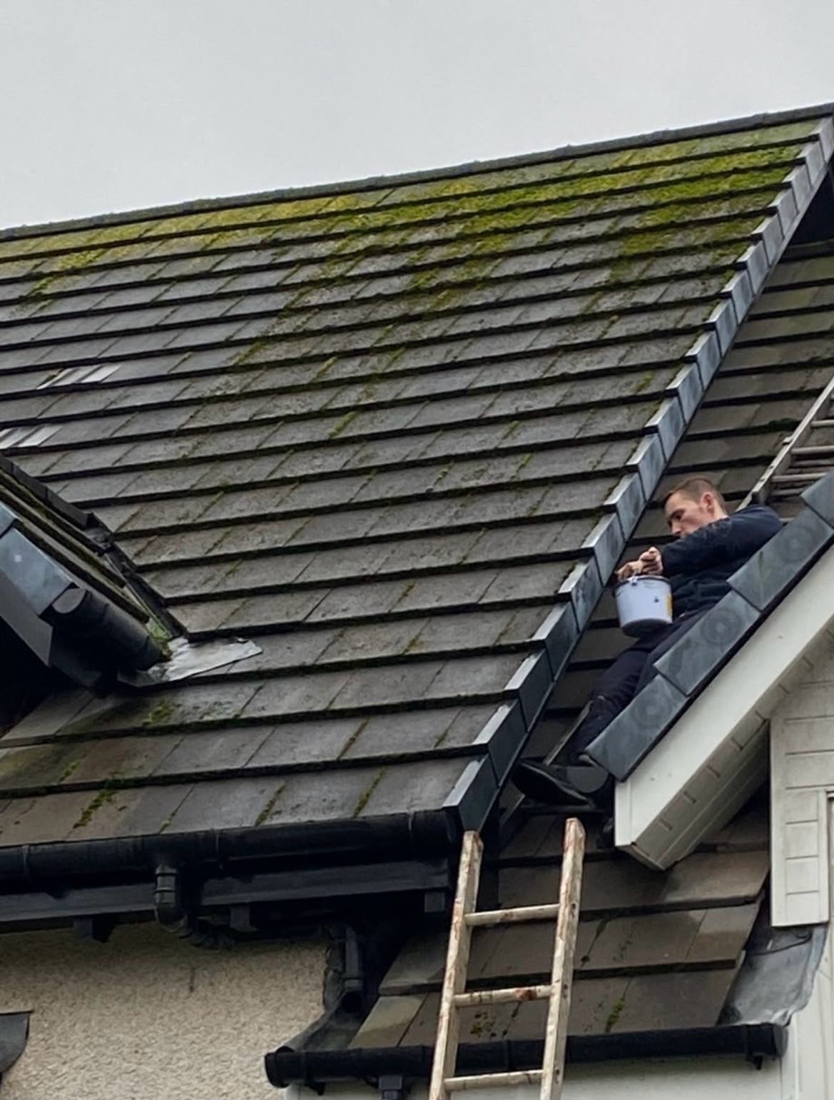 WL Maintenance project 2